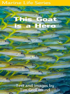 cover image of This Goat Is a Hero